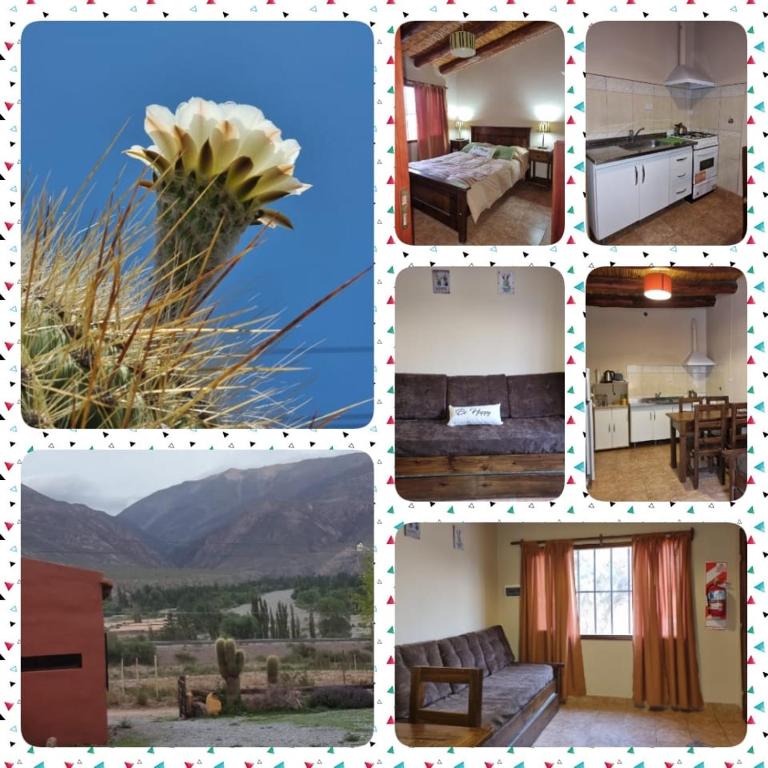 Cabañas Inti Raymi - Apartamento de 1 dormitorio - 2
