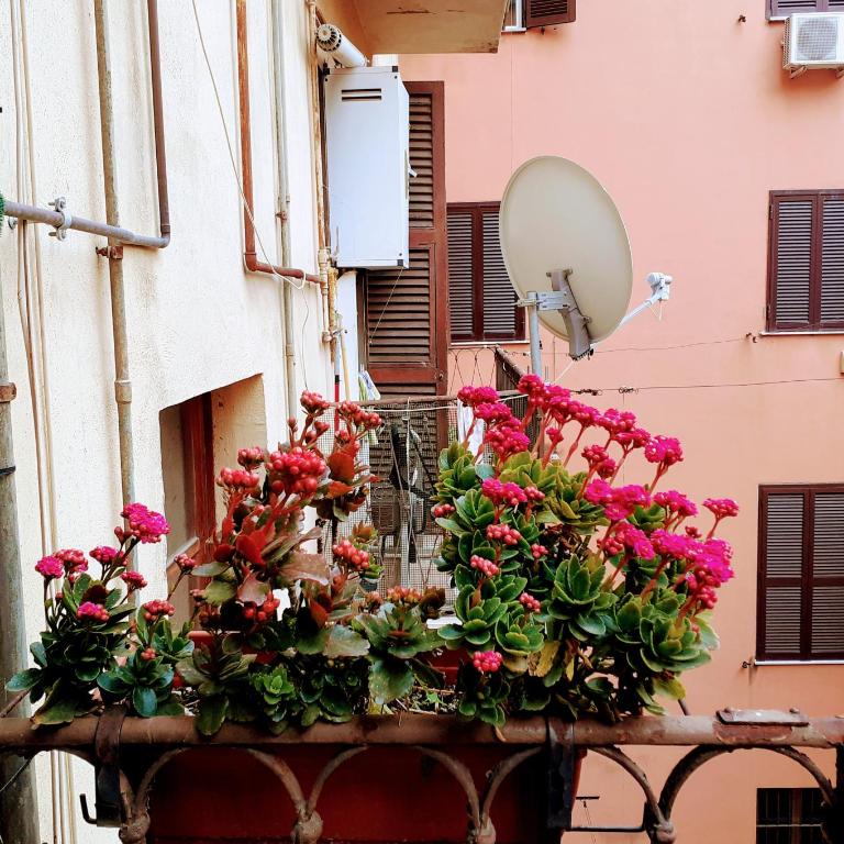 Napoleone Luxury Home roma - Small Double Room - 25