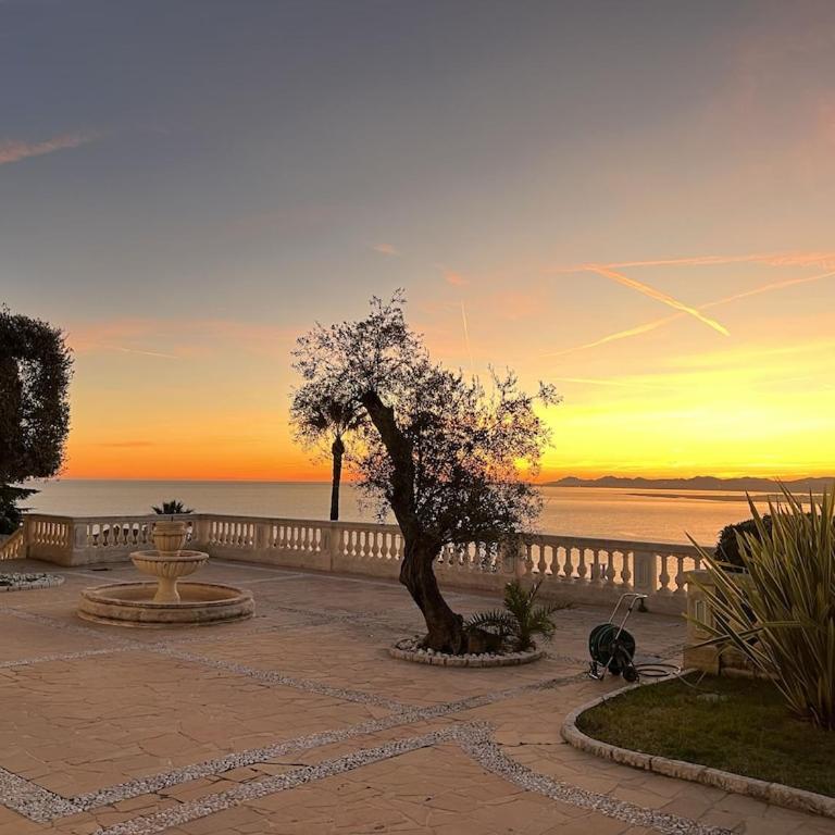 Luxury Villa at Mont Boron, swimming pool overviewing the bay - Villa avec Piscine Privée - 4