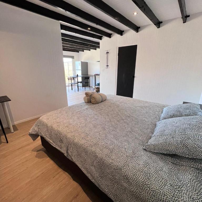 Cabaña Hermosa Maitencillo - One-Bedroom Apartment - 6
