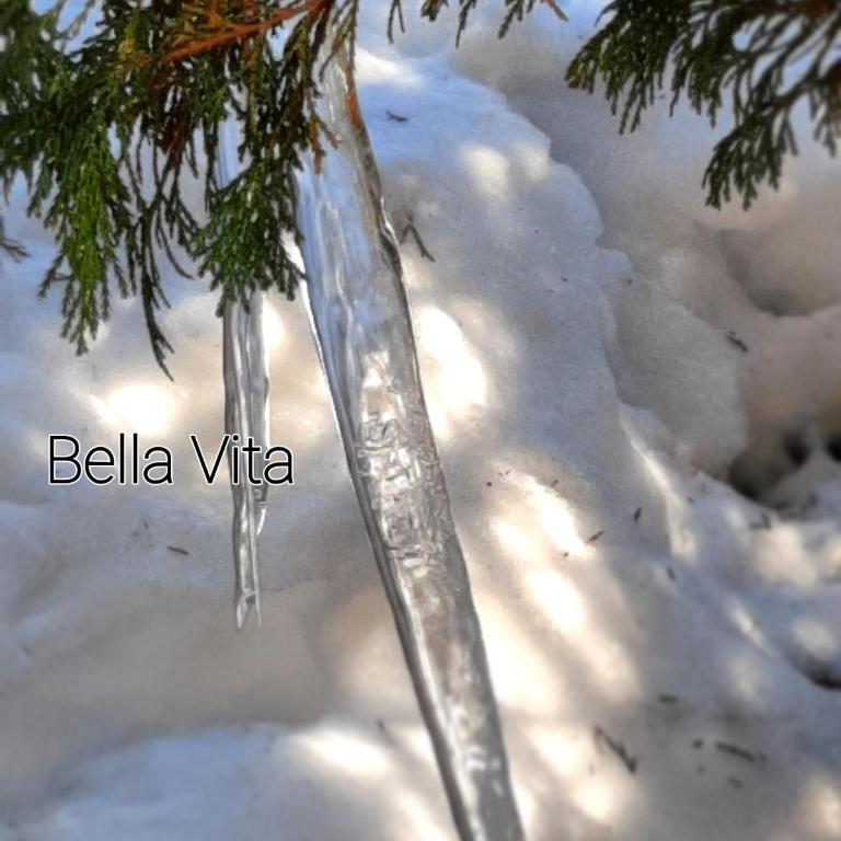 Apartman Bella Vita - Apartman sa 1 Spavaćom Sobom - 30