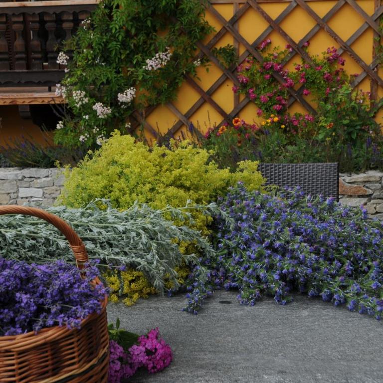 Sulamith Ferienhaus mit Garten - Ferienhaus mit Garten - 60
