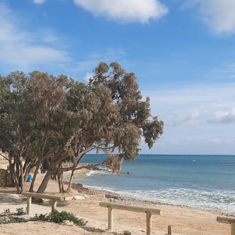 BM5A, Gran ático duplex con dos terrazas cerca el mar - Two-Bedroom Apartment - 27