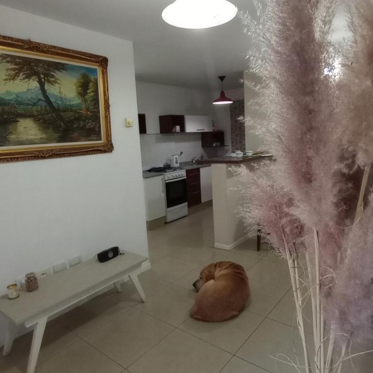 Dpto matunga - Apartamento de 1 dormitorio - 6