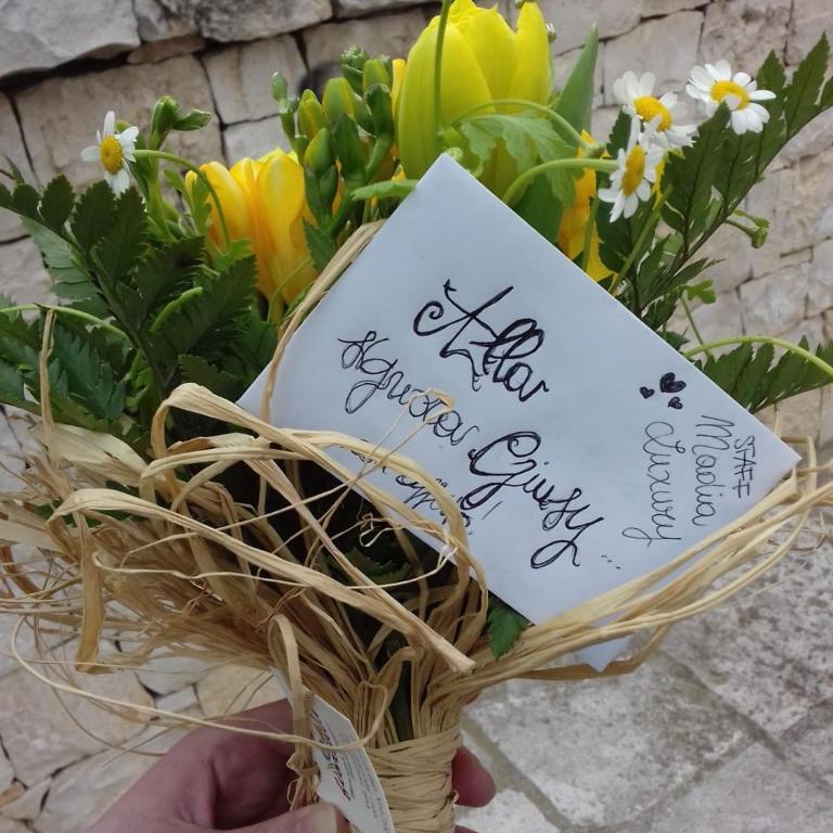 Trulli MADIA Luxury Alberobello - Trullo Piccolo - 29