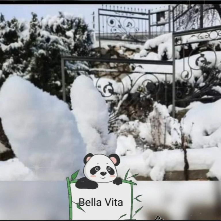 Apartman Bella Vita - Apartman sa 1 Spavaćom Sobom - 8