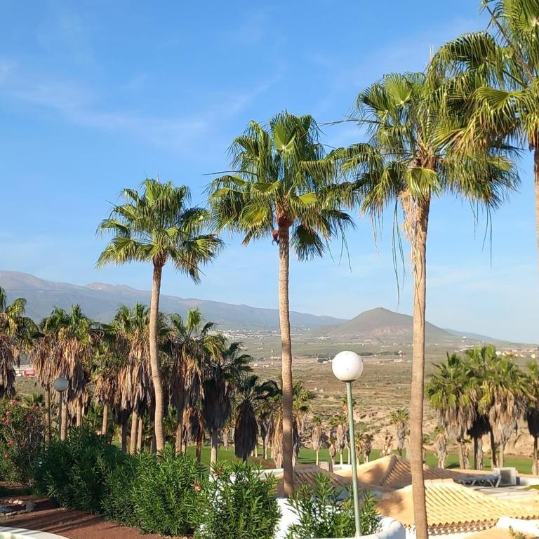 Oceanscape, Golf del Sur - Apartamento de 2 dormitorios - 49