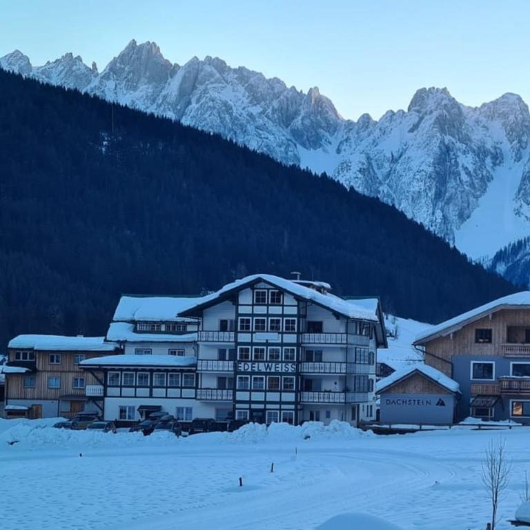 Panorama Lodge Edelweiss - Apartment mit 3 Schlafzimmern - 32