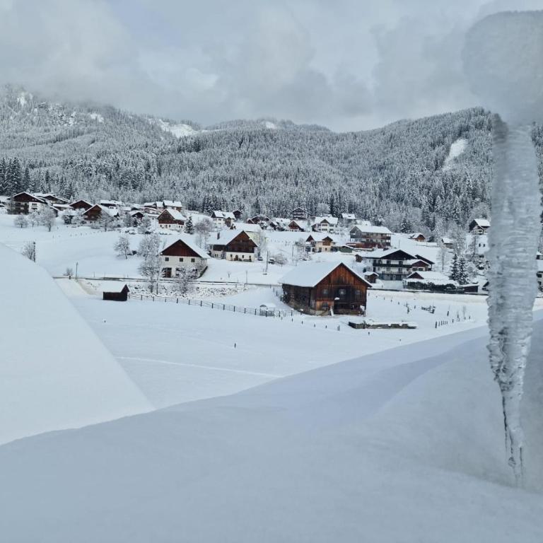 Panorama Lodge Edelweiss - Apartment mit 3 Schlafzimmern - 31