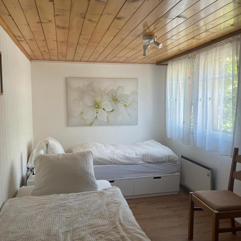 Moritzhaus - Apartment mit 2 Schlafzimmern - 18