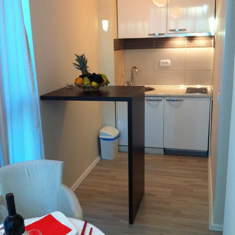Apartments and Rooms Grand Palazzo - Apartman s 1 Spavaćom Sobom i Balkonom - 7