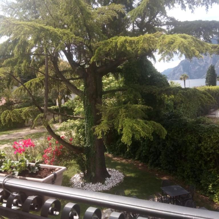 Villa Torbole - Camera Deluxe Matrimoniale/Doppia con Letti Singoli con Balcone e Vista Lago - 9