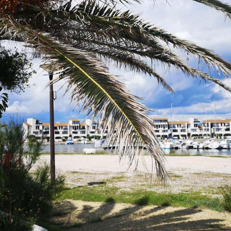 Appartement T2 avec Terrasse et Piscine, Parking Privé, Espace Aquatique - Le Barcarès - FR-1-195-22 - Apartment (4 Erwachsene) - 4