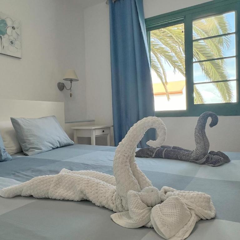 Lovely Apartment near the BEACH with POOL & WiFi - One-Bedroom Apartment - 12