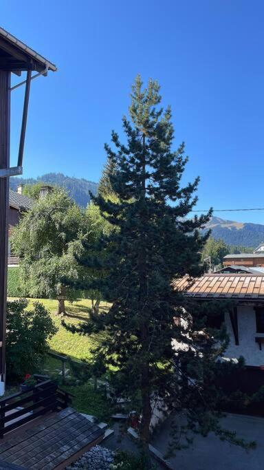 Romy appartement centre village - Appartement 2 Chambres - 10