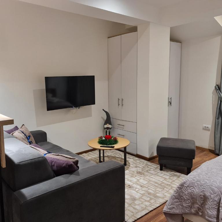 SkyKop Apartmani - Apartman sa 1 Spavaćom Sobom - 8