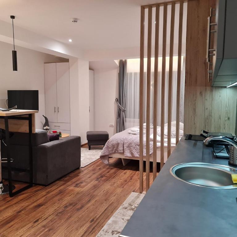 SkyKop Apartmani - Apartman sa 1 Spavaćom Sobom - 4