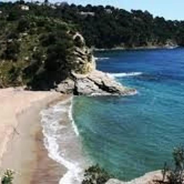 Villa de charme en pinède, 4 chambres climatisées, accès direct plage - FR-1-100-209 - Villa - 33
