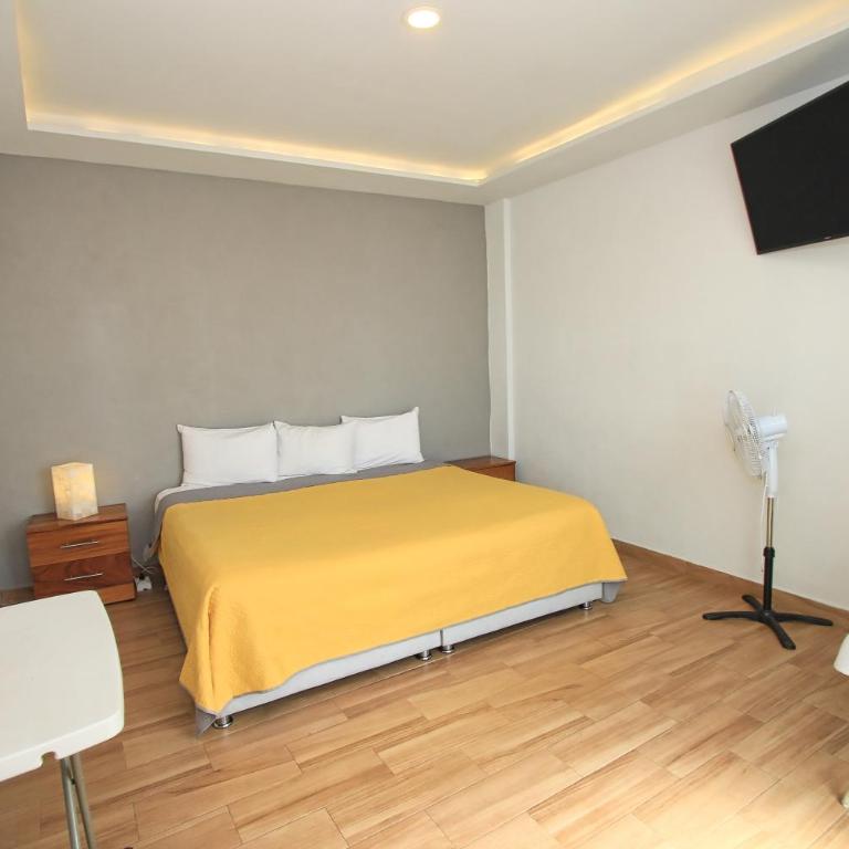 Hotel Grand Guanajuato - Standard Double Suite - 1