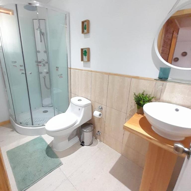 Vista Pucón - Apartamento con balcón - 2