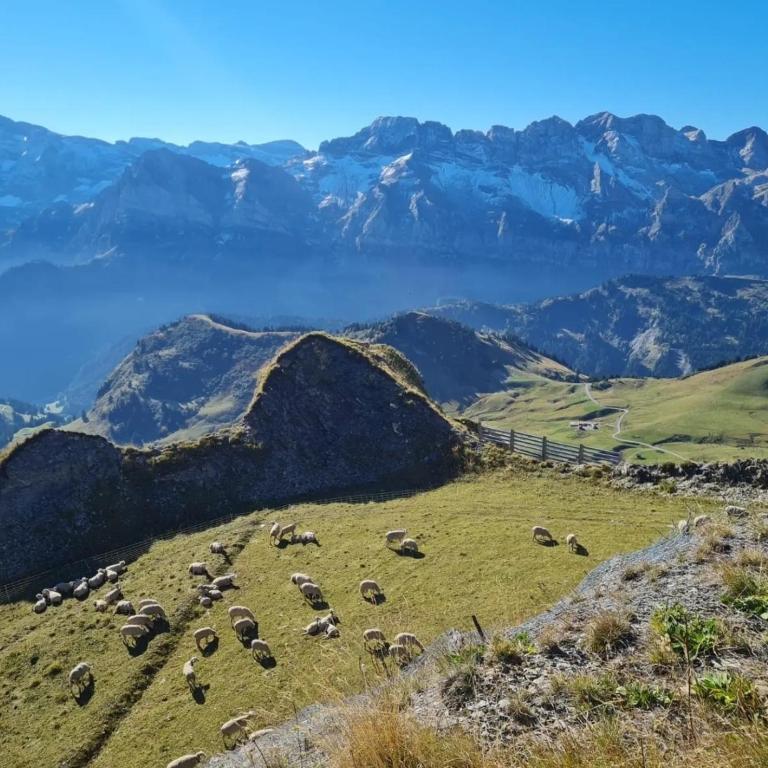 Alpine Hideaway for 2, stunning Views, Near Morzine - Maison 1 Chambre - 34