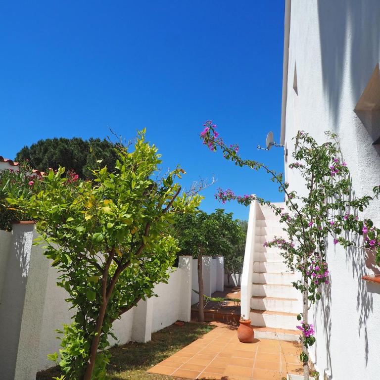 Flor casa con piscina privada - Casa - 14