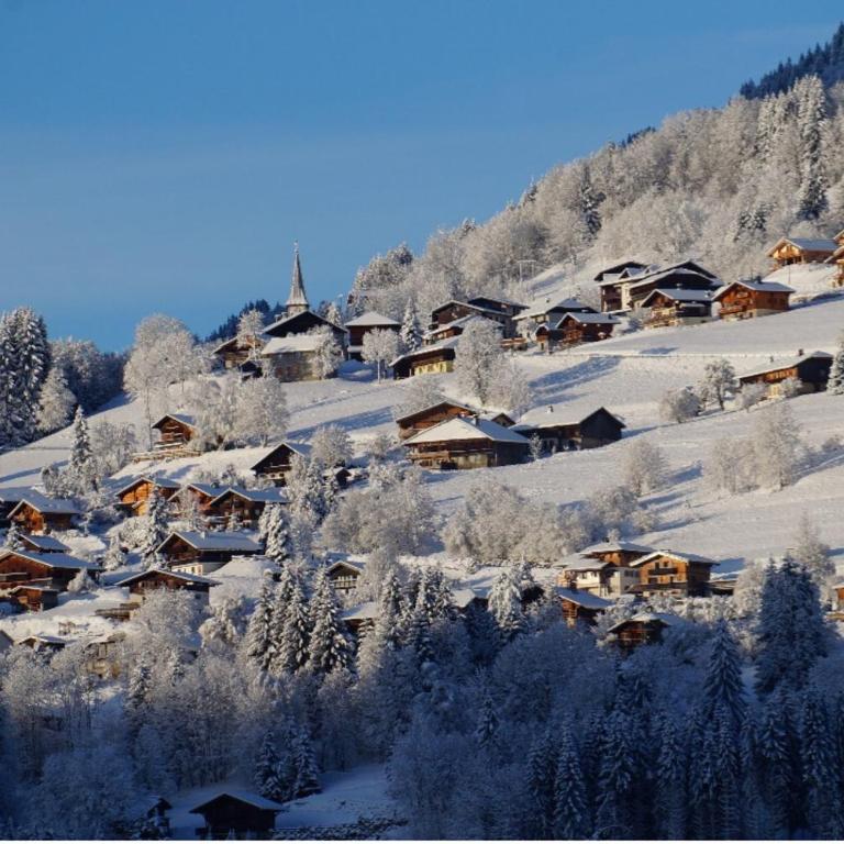 Alpine Hideaway for 2, stunning Views, Near Morzine - Maison 1 Chambre - 38
