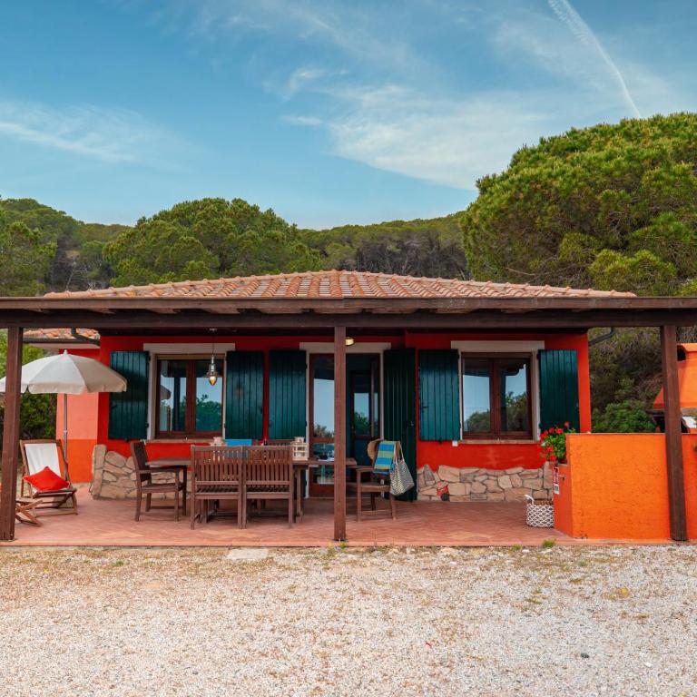 Tenuta Delle Ripalte - Villa - 3