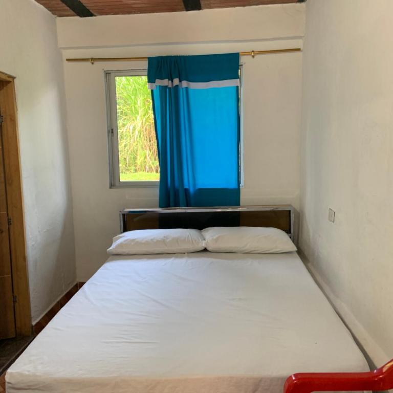 FINCA MI DELIRIO - Four-Bedroom House - 10