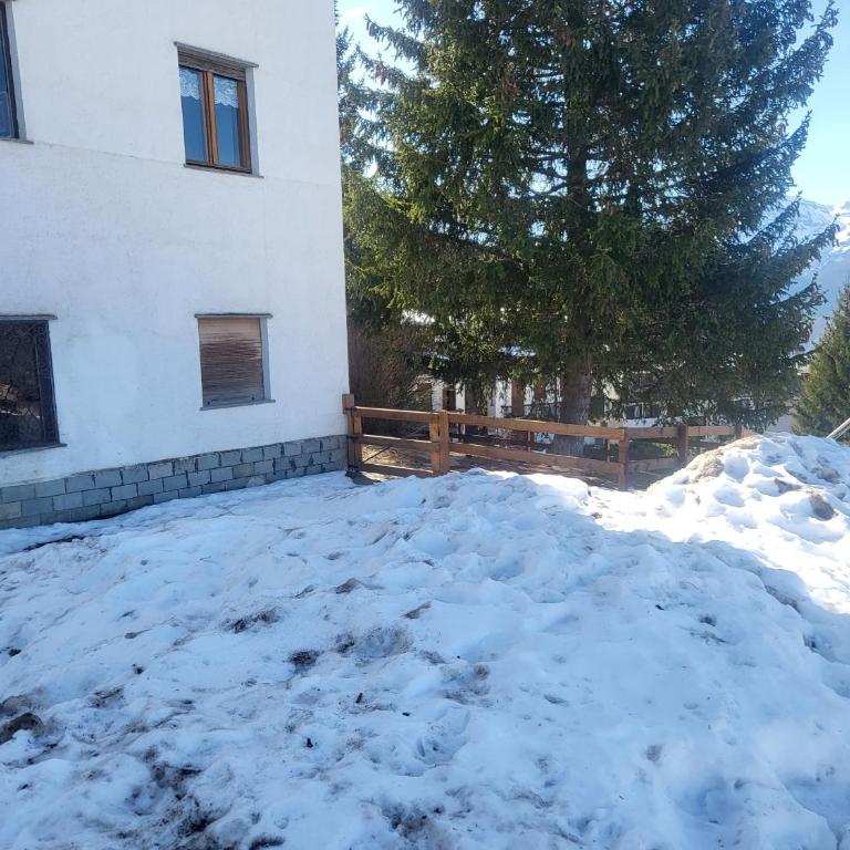 Alloggio "Pineta" sulle piste di clotex - Appartamento con 1 Camera da Letto - 4