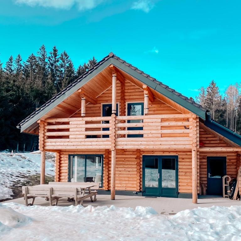 Pur Natur! Wandern und Skifahren - Trahütti Premium Lodges - Ferienhaus - 2