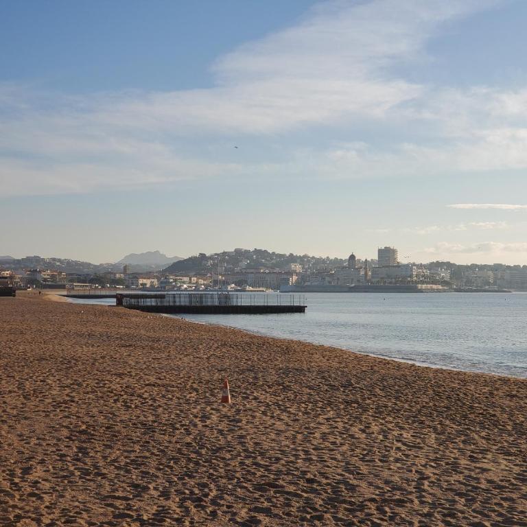 Port FREJUS T2 39m2 climatise Belle terrasse Balcon - Apartment mit Terrasse - 13