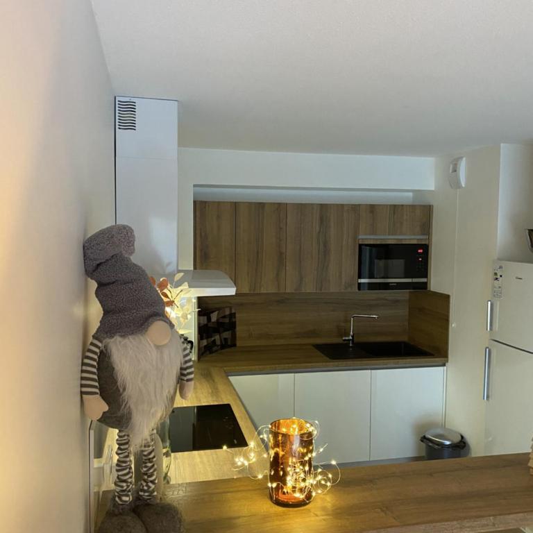 LE DOUX MELEZE - Appartement 2 Chambres - 14