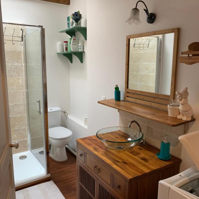 BASIA, Lourdes - centre , quartier historique Sanctuaires a 7 min a pied - Maison 1 Chambre - 13