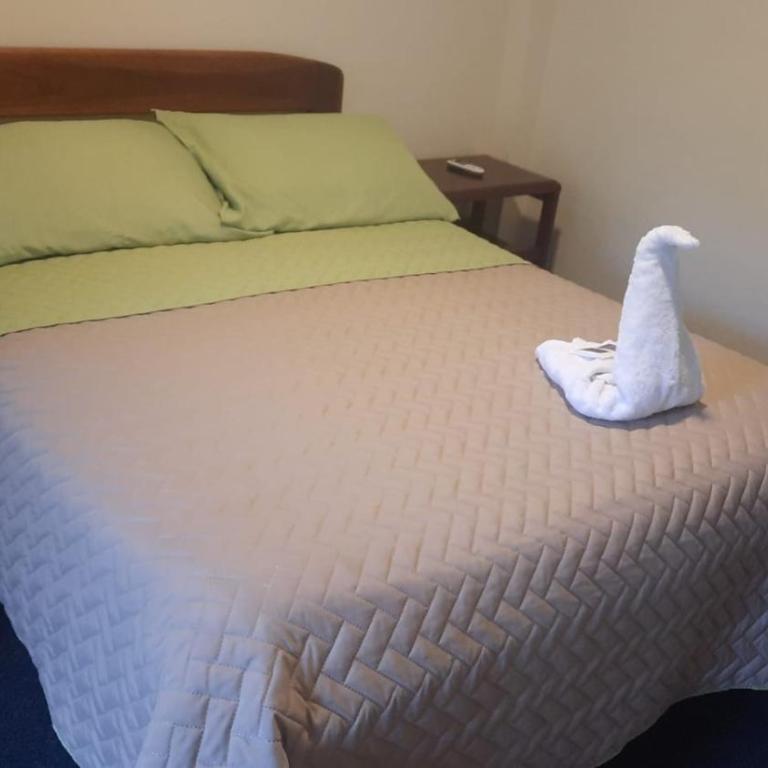 HOSTAL VISTA AMAZONAS - Habitación Individual - 5