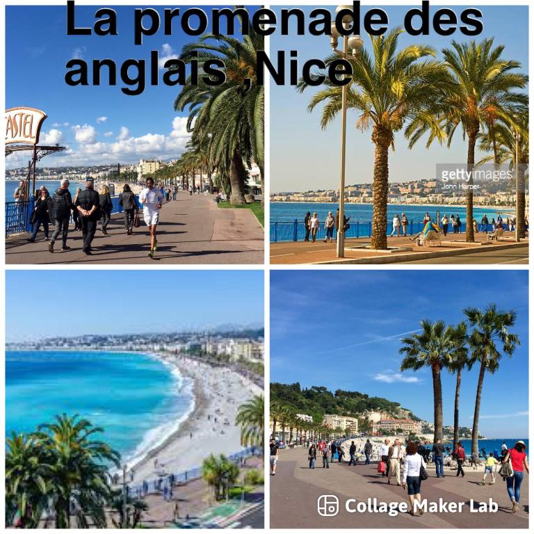 Studio Nice Centre garibaldi port plage - Appartement Deluxe - 24