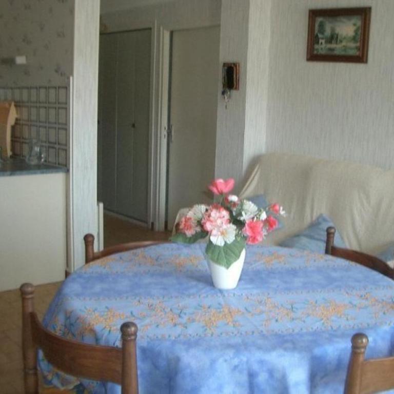 Charmant F1bis avec Balcon et Garage à 10min des Thermes - Amélie-les-Bains - Apartment mit 1 Schlafzimmer - 2