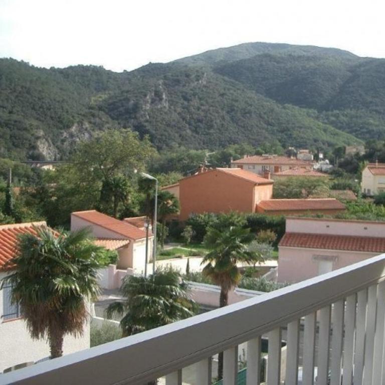 Charmant F1bis avec Balcon et Garage à 10min des Thermes - Amélie-les-Bains - Apartment mit 1 Schlafzimmer - 7