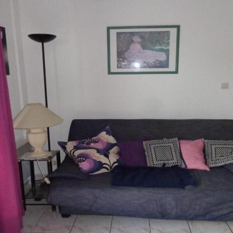 Appartement F2 confortable avec balcon près des Thermes d'Amélie-les-Bains - Appartamento con 1 Camera da Letto - 2