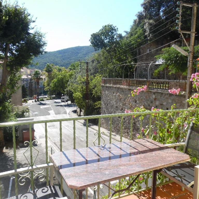Studio confortable pour 2 pers, animaux acceptés, parking, WiFi - Studio - 1