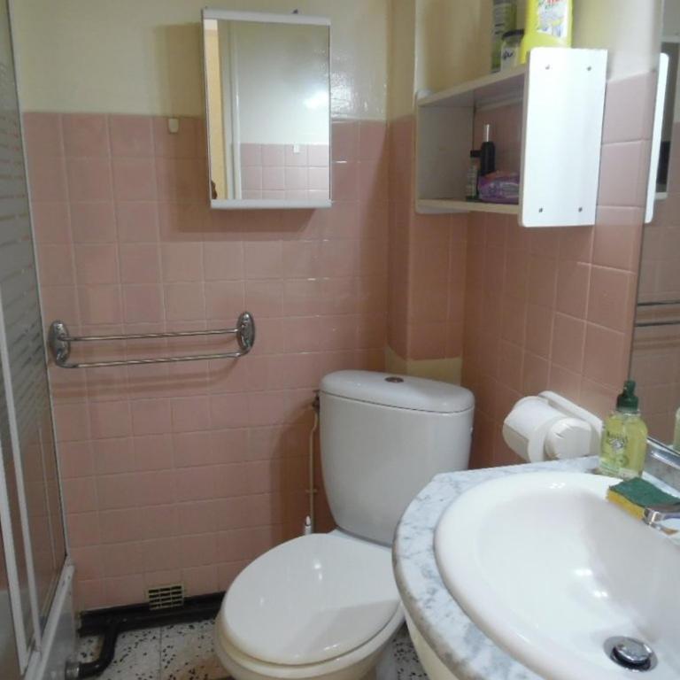 Studio confortable pour 2 pers, animaux acceptés, parking, WiFi - Studio - 5