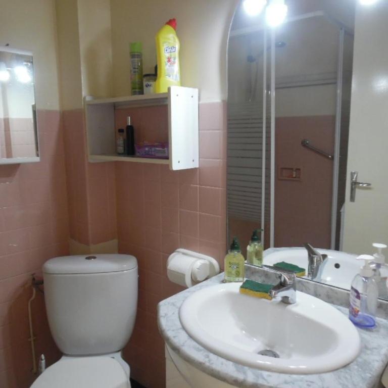 Studio confortable pour 2 pers, animaux acceptés, parking, WiFi - Studio - 9