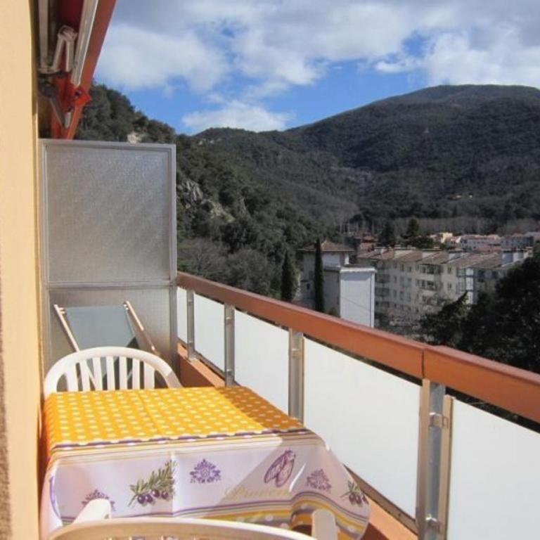 Charmant Studio avec Terrasse, Parking et Wifi - Proche Cure et Centre Ville - Studio - 2