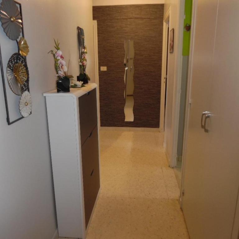 Appartement F2 avec balcon et parking à Amélie-les-Bains, idéal pour 4 personnes - Appartamento con 1 Camera da Letto - 6