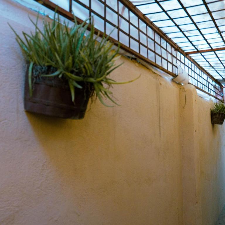 Centro Monterrey - One-Bedroom Apartment - 30