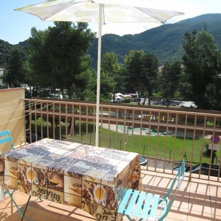 F2 avec Terrasse et Parking, Animaux Admis - Amélie-les-Bains - Appartement 1 Chambre - 6