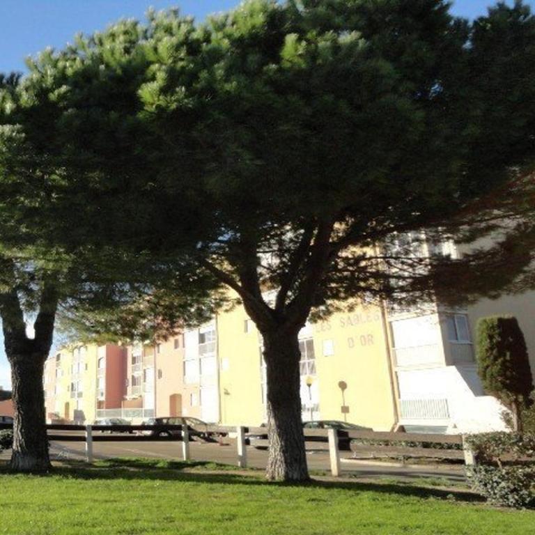 Charmant 2 pièces cabine moderne, parking inclus, proche plage et commerces, animaux admis - FR-1-307-8 - Appartamento (6 Adulti) - 10