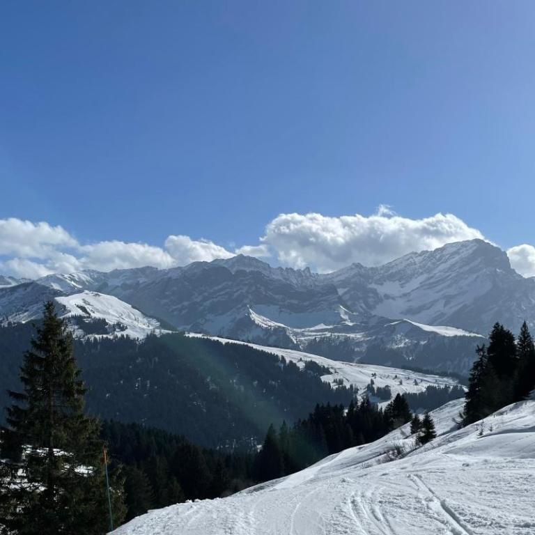 Apartment with stunning view! Ski-in, ski-out - Apartment mit 2 Schlafzimmern - 12