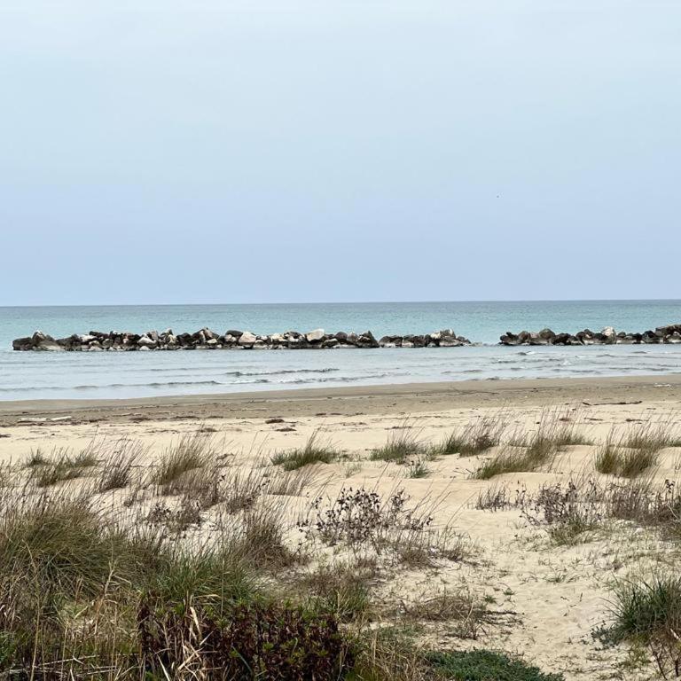 Simpatico appartamento autonomo sul mare - Appartamento con 2 Camere da Letto - 30