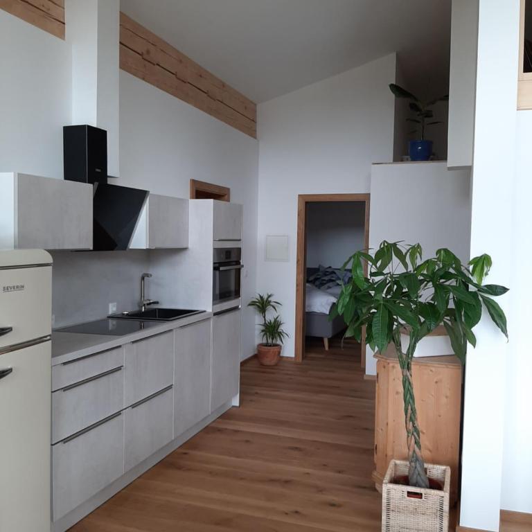 Loftwohnung mit Bergblick - Appartamento con 2 Camere da Letto - 5